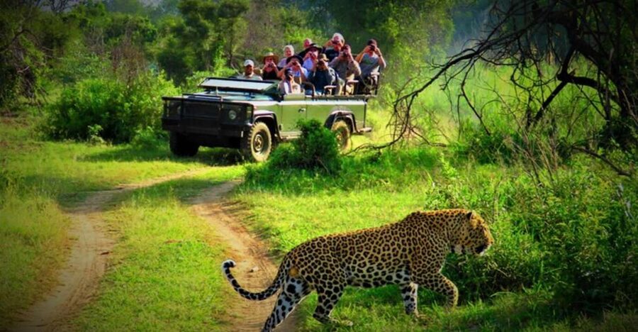 From Kathmandu/Pokhara: Private 3-Day Chitwan Safari Tour - Why Chitwan works as a short Nepal add-on
