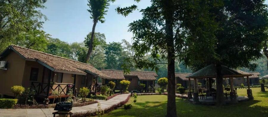 From Kathmandu/Pokhara: Private 3-Day Chitwan Safari Tour - Day 3: A guided nature walk before the return trip