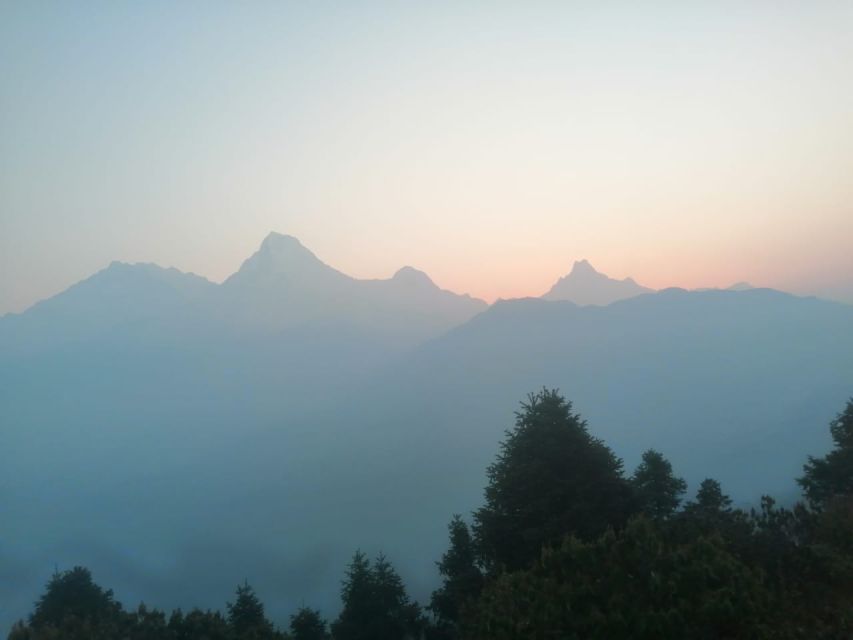 From Pokhara: 10-Day Poon Hill and Annapurna Base Camp Trek - Day 2: Ulleri steps and the forests around Ghorepani