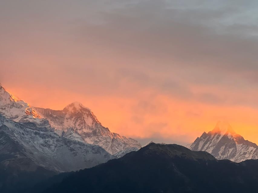From Pokhara: 2 Day 1 Night Ulleri,Ghorepani Poon Hill Trek - Walking Ulleri to Ghorepani through forest