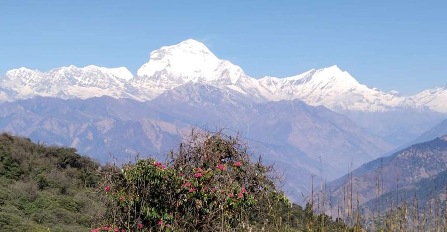 From Pokhara: 4-Day Annapurna and Poon Hill Himalayan Trek - Key points to know before booking