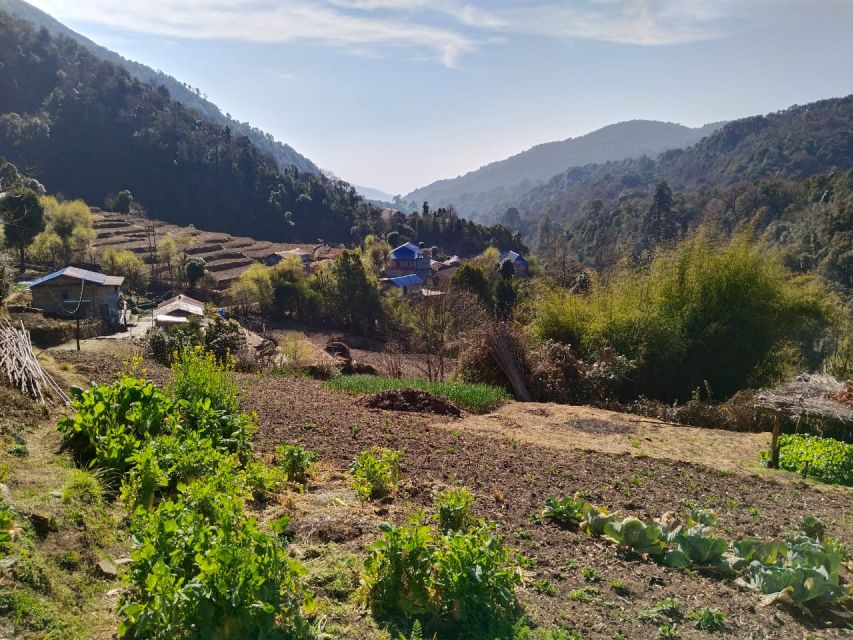 From Pokhara: 4-Day Annapurna and Poon Hill Himalayan Trek - Why this short Annapurna trek works
