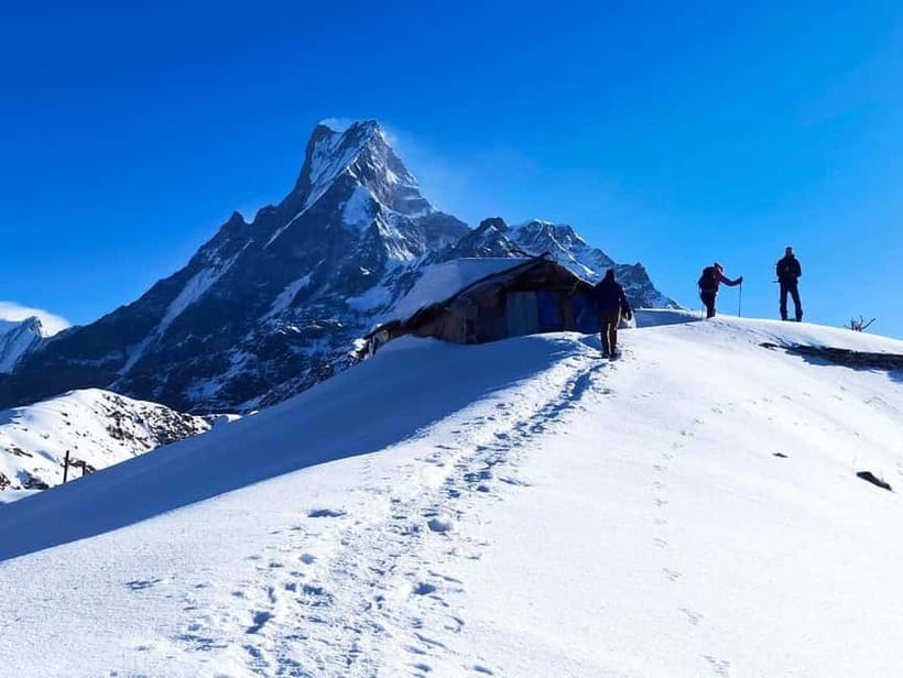 From Pokhara: 4-Day Mardi Himal Base Camp Trek - Day 3: Sunrise, the viewpoint, and the Base Camp decision