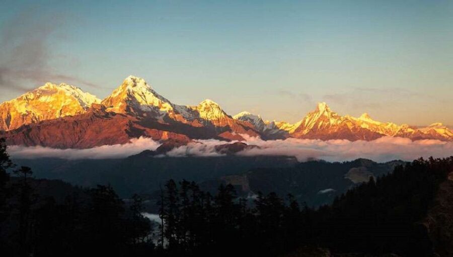 From Pokhara: 5-Day Annapurna Basecamp Trek with Hot Springs - Key points before you book