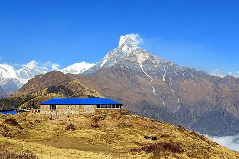 From Pokhara: 5-Day Mardi Himal Base Camp Trek - What the $181 price really covers