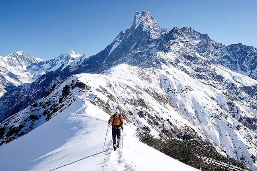 From Pokhara: 5-Day Mardi Himal Base Camp Trek - Day 2: Six hours through forest to Low Camp