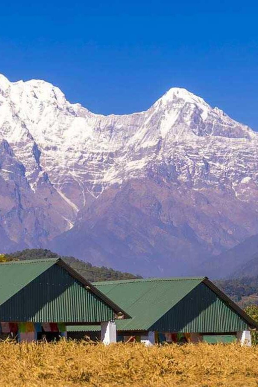 From Pokhara: Annapurna View Day Hike - Australian Camp and the Annapurna panorama