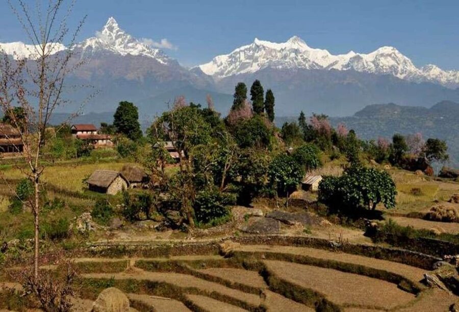 From Pokhara: Annapurna View Day Hike - The final descent to Phedi