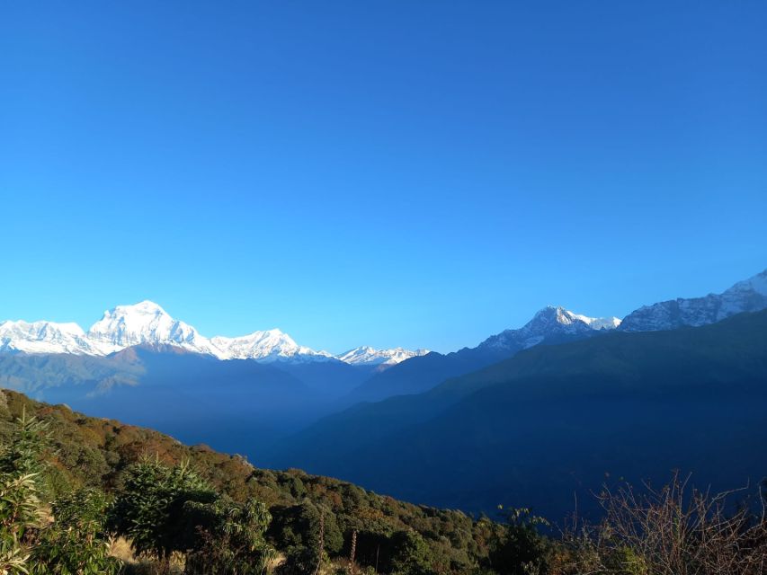 From Pokhara: Australian Camp & Dhampus 1, or 2-Day Trek - The overnight route from Phedi to Australian Camp