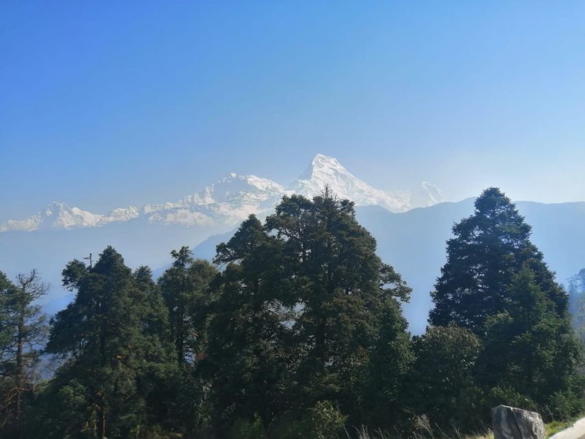 From Pokhara: Budget 2 Night 3 days Poon hill trek - Day 3: The Poon Hill sunrise and the long way down