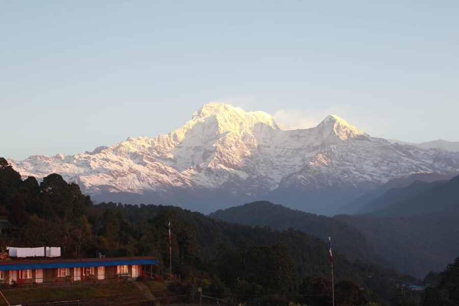 From Pokhara: Day Hiking Australian Camp & Dhampus - Kande to Australian Camp through forest and meadows