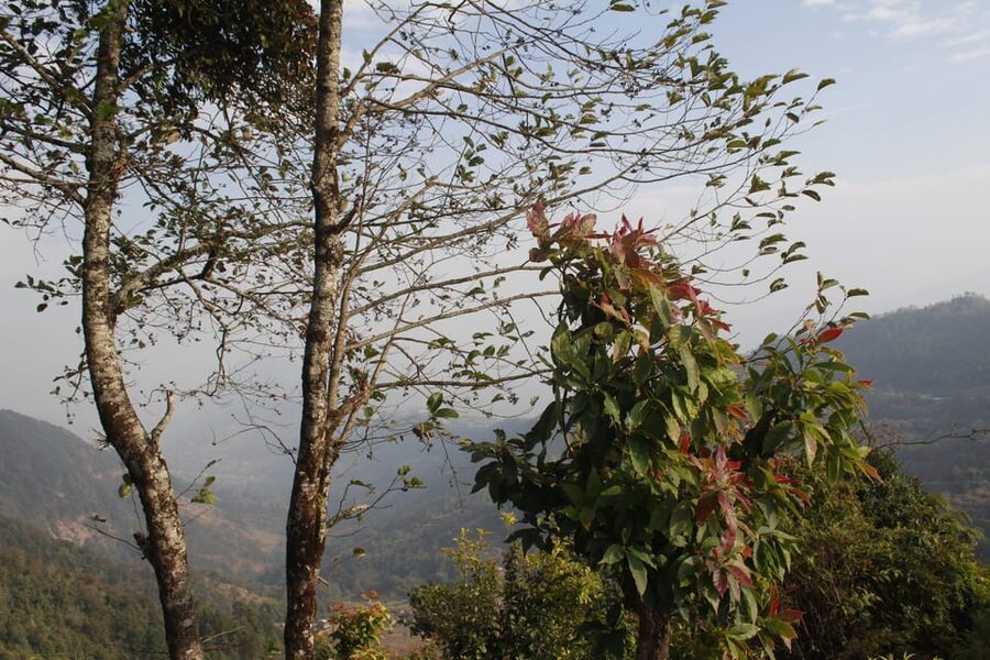 From Pokhara: Day Hiking Australian Camp & Dhampus - Weather, seasons, and what to carry