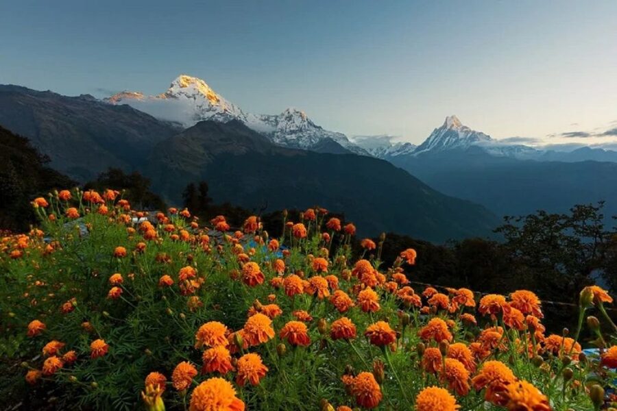 From Pokhara: Guided Tour to Visit 4 Himalayas View Point - World Peace Pagoda: a calm ending above Pokhara