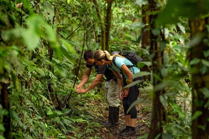 From Pokhara : Hiking to Peace Pagoda via Fewa Lake & Jungle - Who will enjoy this Pokhara hike