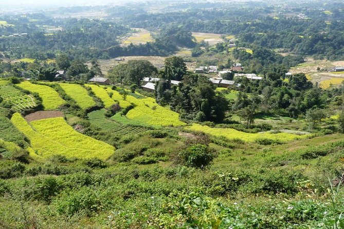 Full Day Bhaktapur Changunarayan And Nagarkot Tour in Nepal - What the private vehicle adds