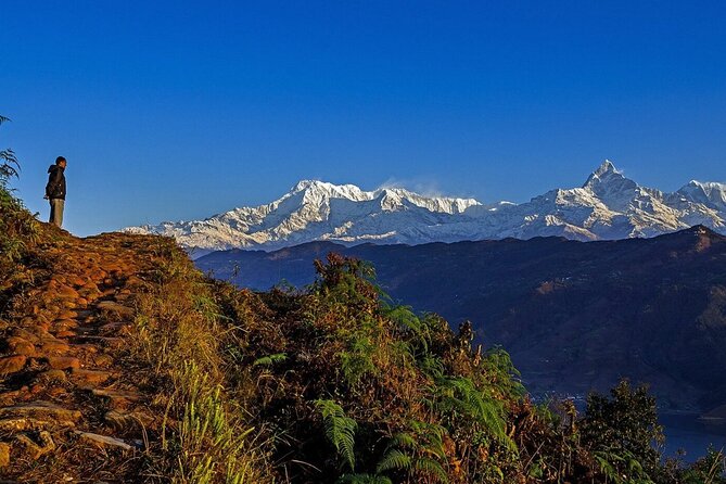 Full Day Car Drive to Explore Places of Interest of Pokhara - Key points at a glance