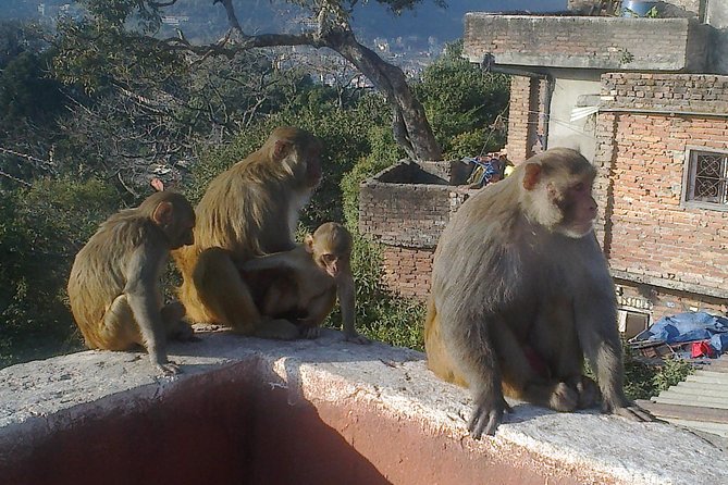 Full Day Kathmandu City Sightseeing Tour of UNESCO Heritage Sites - What the $50 price really buys you