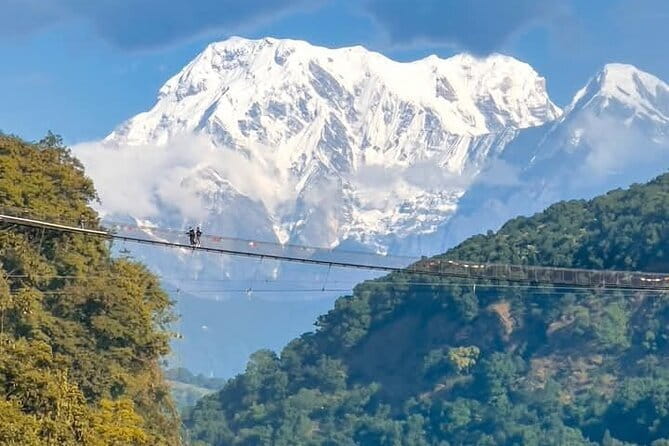 Full day Suspension Bridge, Boating, George, Sightseeing Tour - Key points at a glance