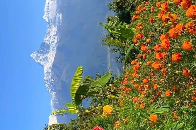 Full day Suspension Bridge, Boating, George, Sightseeing Tour - Himalayan stories at the International Mountain Museum