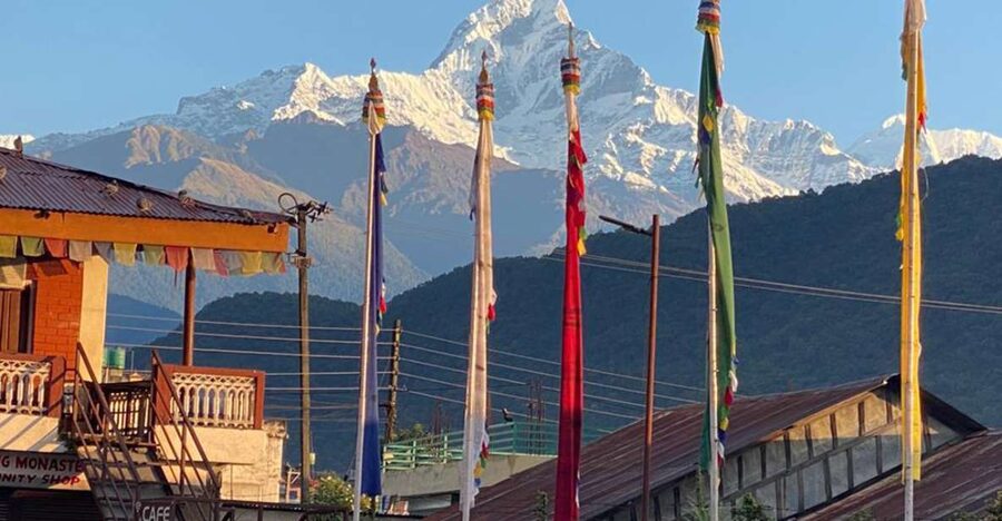 Full Day Tibetan Cultural Tour - Meeting a Tibetan doctor and learning another view of health