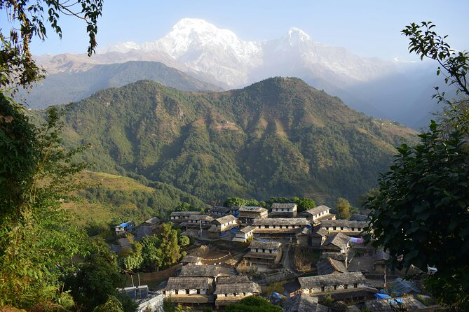 Ghorepani Ghandruk Wellness Yoga Trek - Kathmandu’s sacred sites before the trail