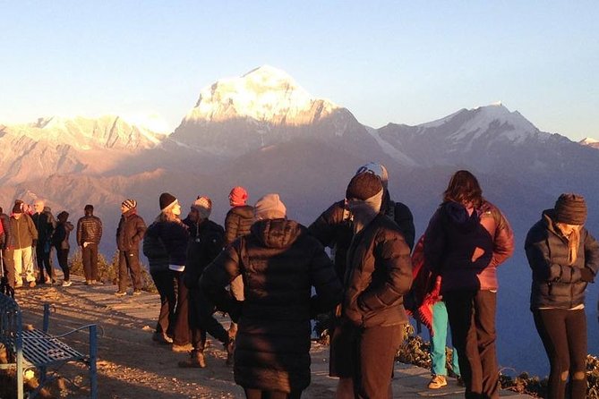 Ghorepani Poon Hill Trek - Why this short Annapurna trek works so well