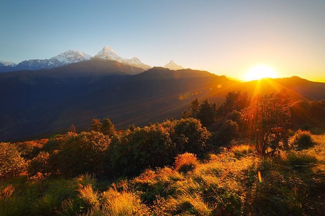 Ghorepani - Poon Hill Trek 3N-4D - Guides, pace, and the private-tour advantage
