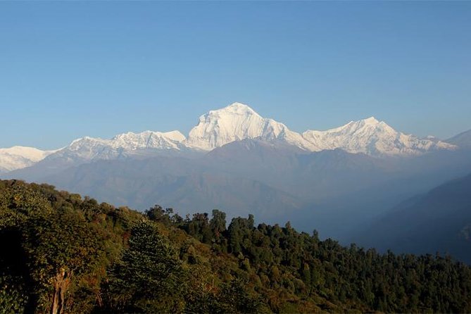 Ghorepani Poon Hill Trek - Ghandruk and Gurung village life