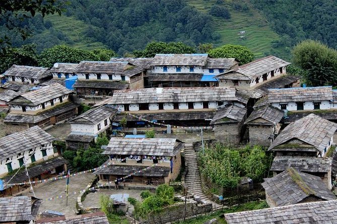 Ghorepani Poon Hill Trek - Guides who shape the experience