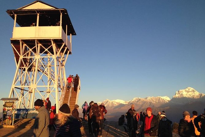 Ghorepani Poon Hill Trek - Forest trails toward Ghorepani