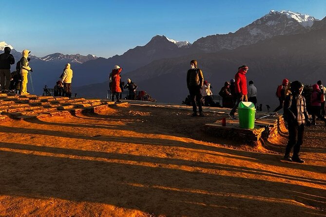 Ghorepani Poonhill Private Trek - 2 nights / 3 days - Day two: rhododendron forest and the climb to Ghorepani