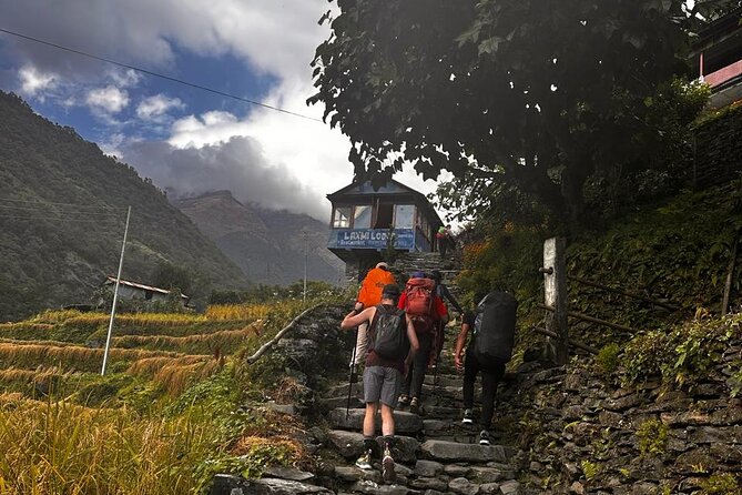 Ghorepani Poonhill Private Trek - 2 nights / 3 days - Why a private guide changes the experience