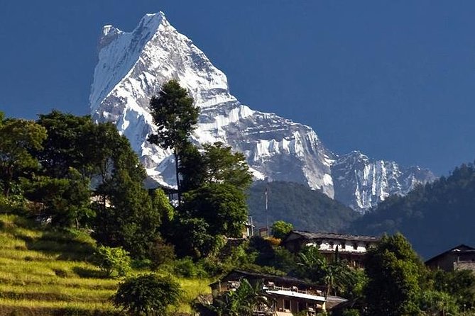 Ghorepani Poonhill Trek -8 Days - Guides, porters, and the style of support