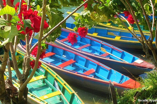 Half-Day Private Pokhara Tour - The practical side of the morning