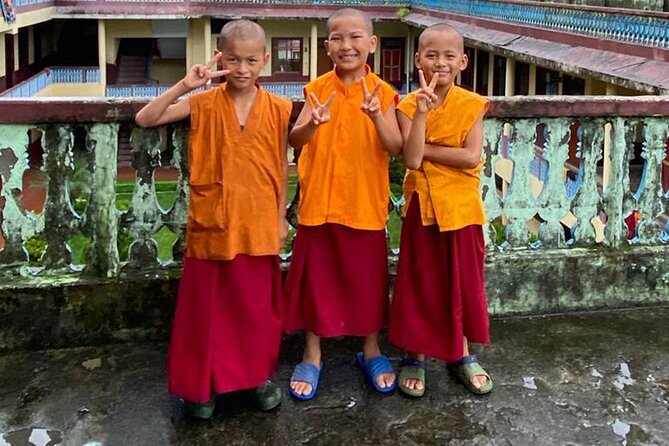 Half Day Tibetan Cultural tour Pokhara - What the $63.52 price covers in practical terms