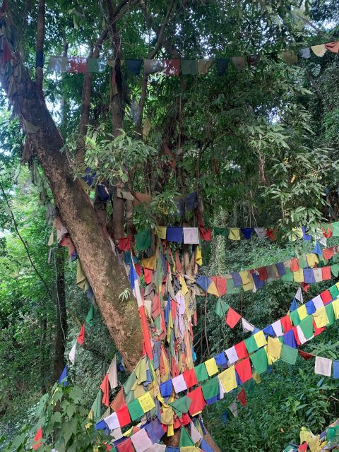 Healing Day tour - Shaman Healing - Who should book this Kathmandu experience?