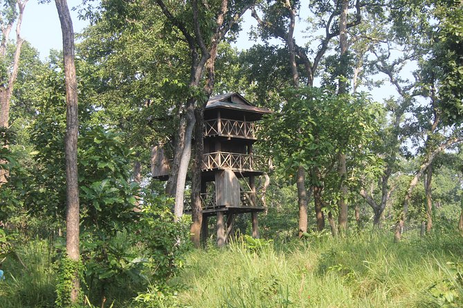 Jungle Towernight Stay In Chitwan National Park ,nepal-2 Nights 3 Days Package - Key things to know before booking