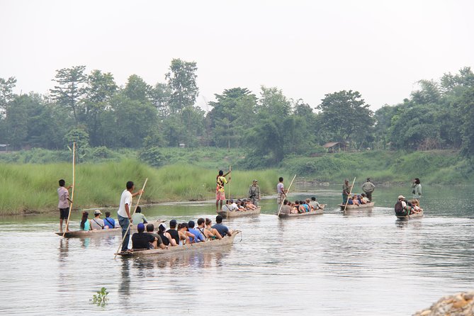 Jungle Towernight Stay In Chitwan National Park ,nepal-2 Nights 3 Days Package - Jungle walk and bird watching with Gopal or Hemantha