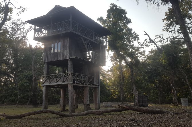 Jungle Towernight Stay In Chitwan National Park ,nepal-2 Nights 3 Days Package - Weather, comfort, and practical expectations