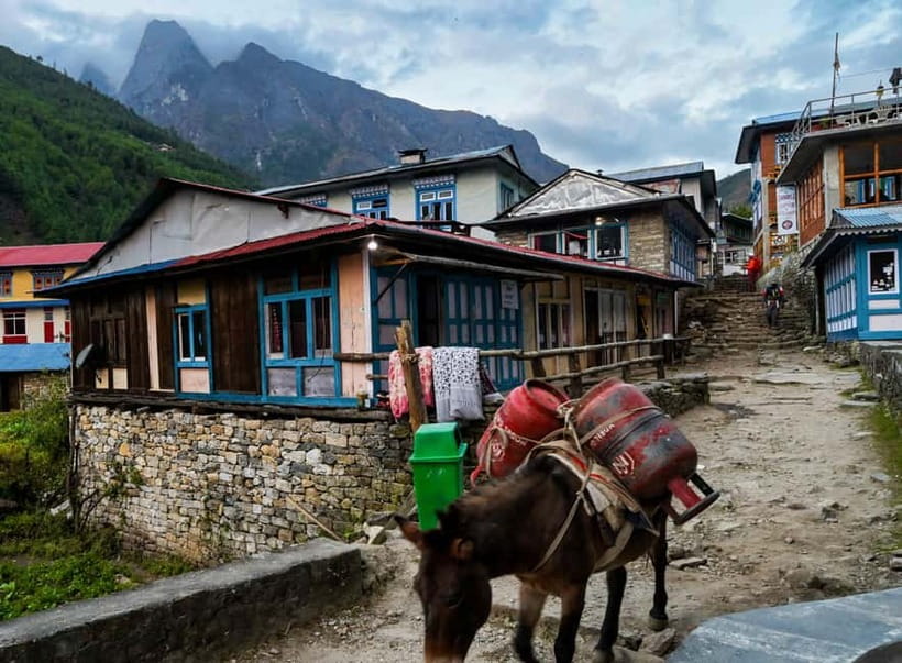 Kathmandu: 15-Day Everest Base Camp Trek with Guide - Phakding and the first easy steps