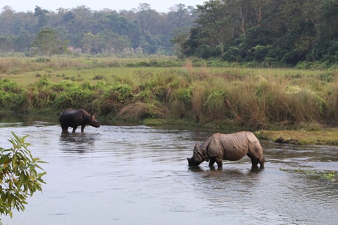 Kathmandu 2 Nights 3 Days Chitwan Jungle Safari Tour - Day 2: jeep safari, canoe, and forest walking