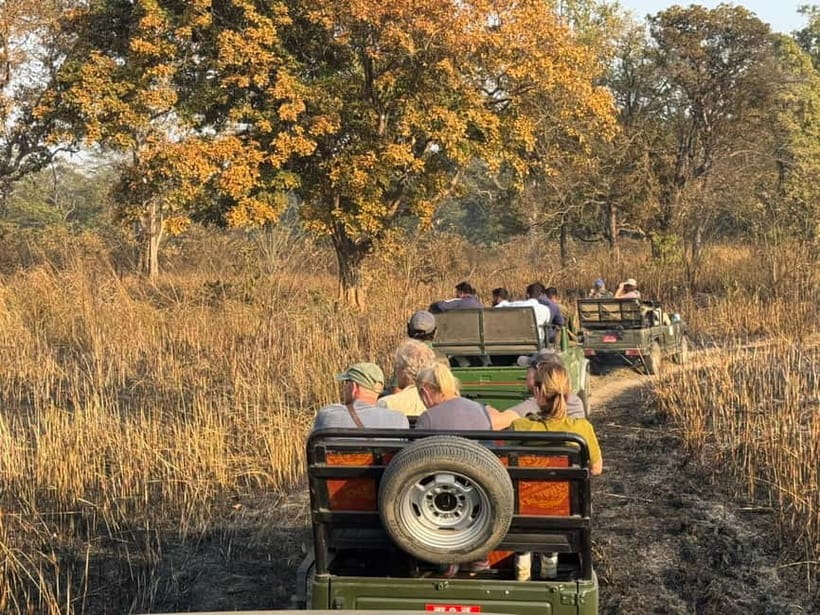Kathmandu: 3-Day Chitwan Safari Tour with Hotel Transfers - What the $151 price really covers