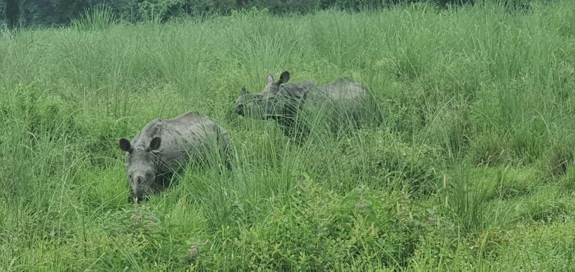 Kathmandu: 3-Day Chitwan Safari Tour with Hotel Transfers - FAQ