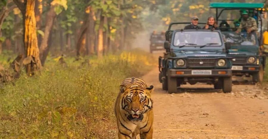 Kathmandu: 4-Day Private Chitwan National Park Safari Tour - Key points at a glance