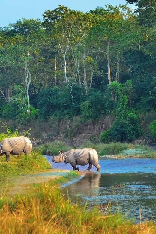 Kathmandu: 4-Day Private Chitwan National Park Safari Tour - Should you book it?