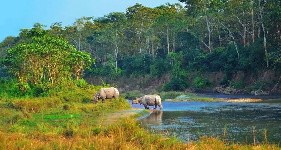 Kathmandu: 4-Day Private Chitwan National Park Safari Tour - Why four days works well in Chitwan
