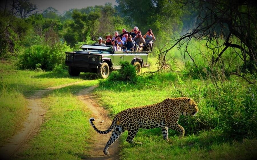 Kathmandu: 4-Day Private Chitwan National Park Safari Tour - Tharu culture adds meaning beyond wildlife
