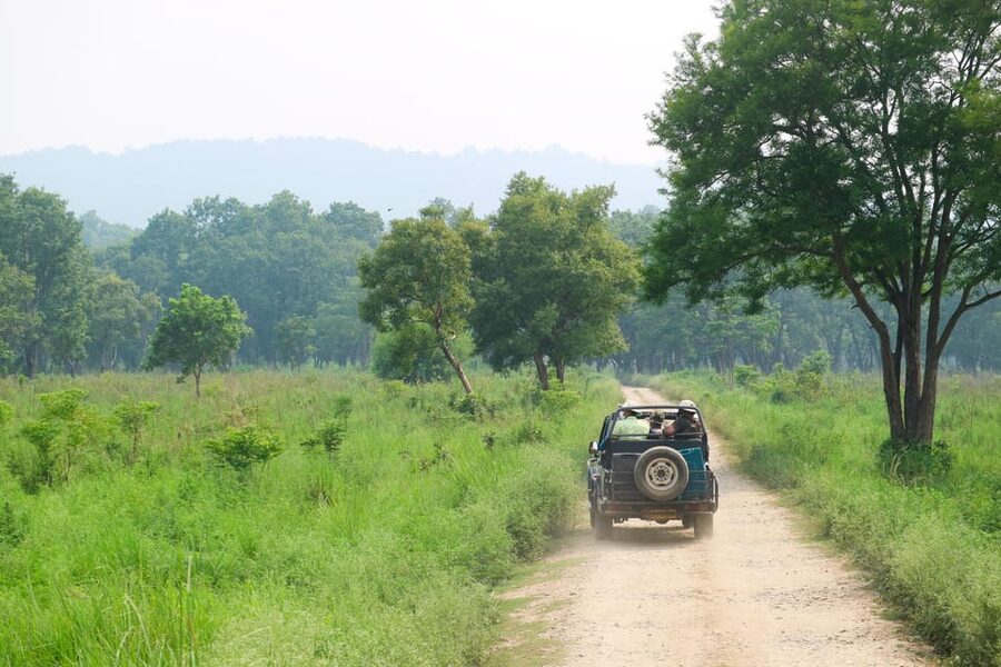 Kathmandu: 4-Day Private Chitwan National Park Safari Tour - Accommodation, meals, and the practical value of the package