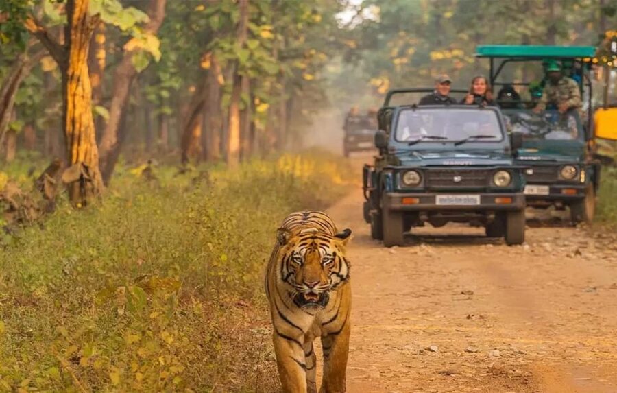 Kathmandu: 4-Day Private Chitwan National Park Safari Tour - Day one: Kathmandu to Chitwan by tourist bus