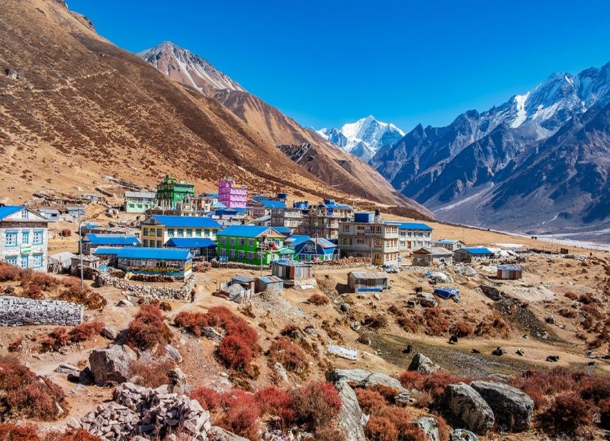 Kathmandu: 6-Day Limitless Langtang Trek - Day 6: Shared transport back to Kathmandu